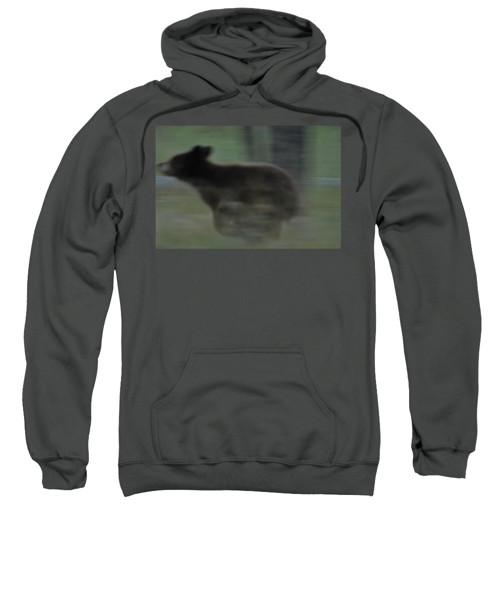 Black Bear Sweatshirt featuring the photograph Black Bear Cub Running by Frank Madia