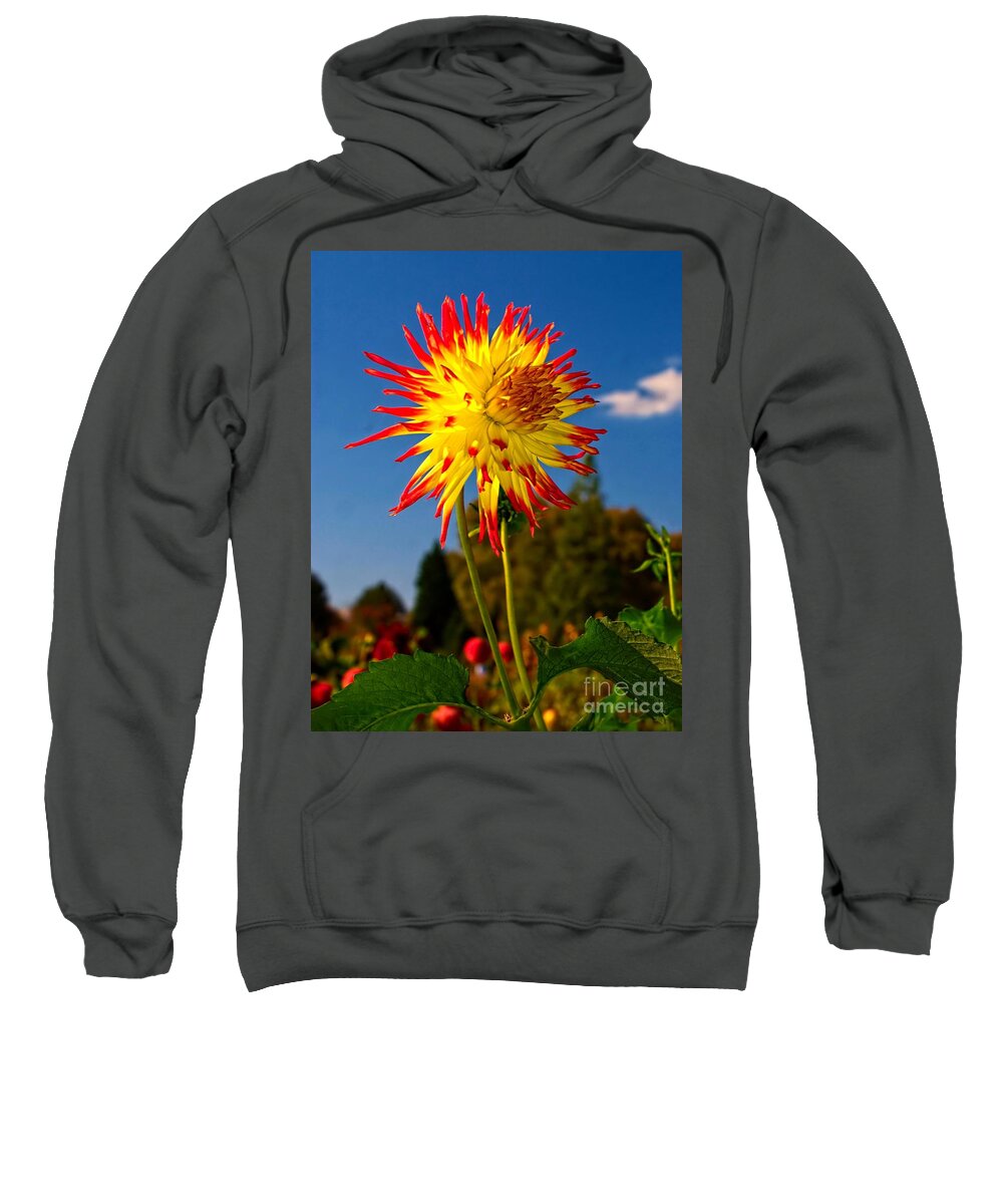 Flower Sweatshirt featuring the photograph Blooms of Spring by Nick Zelinsky Jr