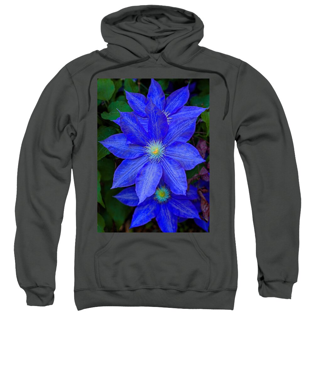 Blue Sweatshirt featuring the photograph Blue on Blue by Dave Bosse