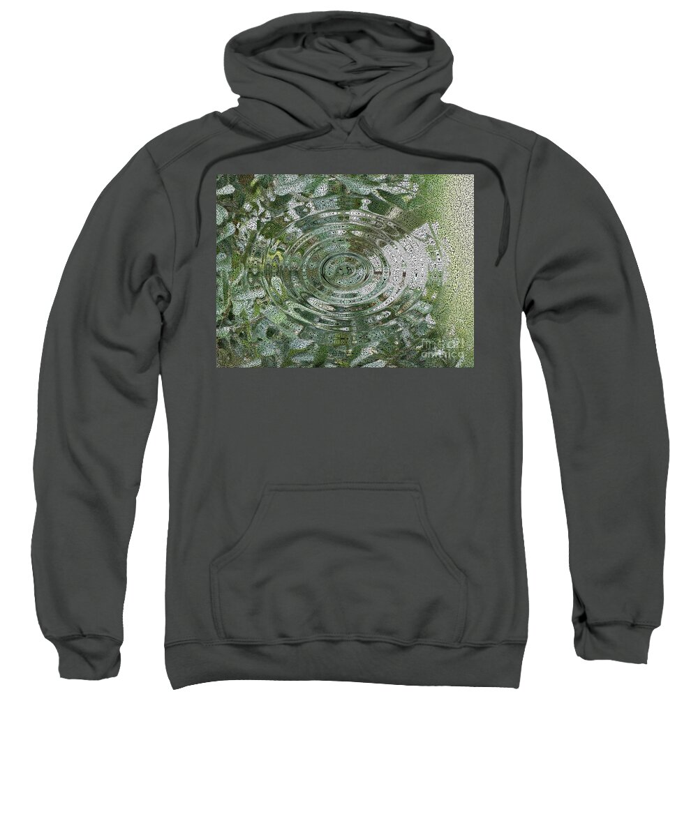 Beautiful Sweatshirt featuring the photograph Botanical Dreams by Joseph Baril