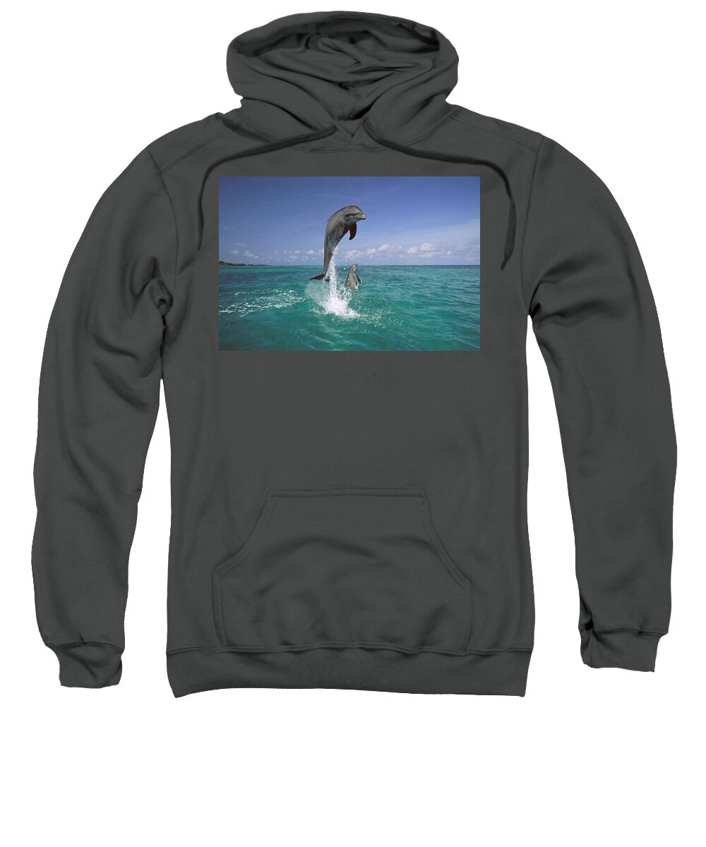Feb0514 Sweatshirt featuring the photograph Bottlenose Dolphin Leaping Caribbean by Konrad Wothe