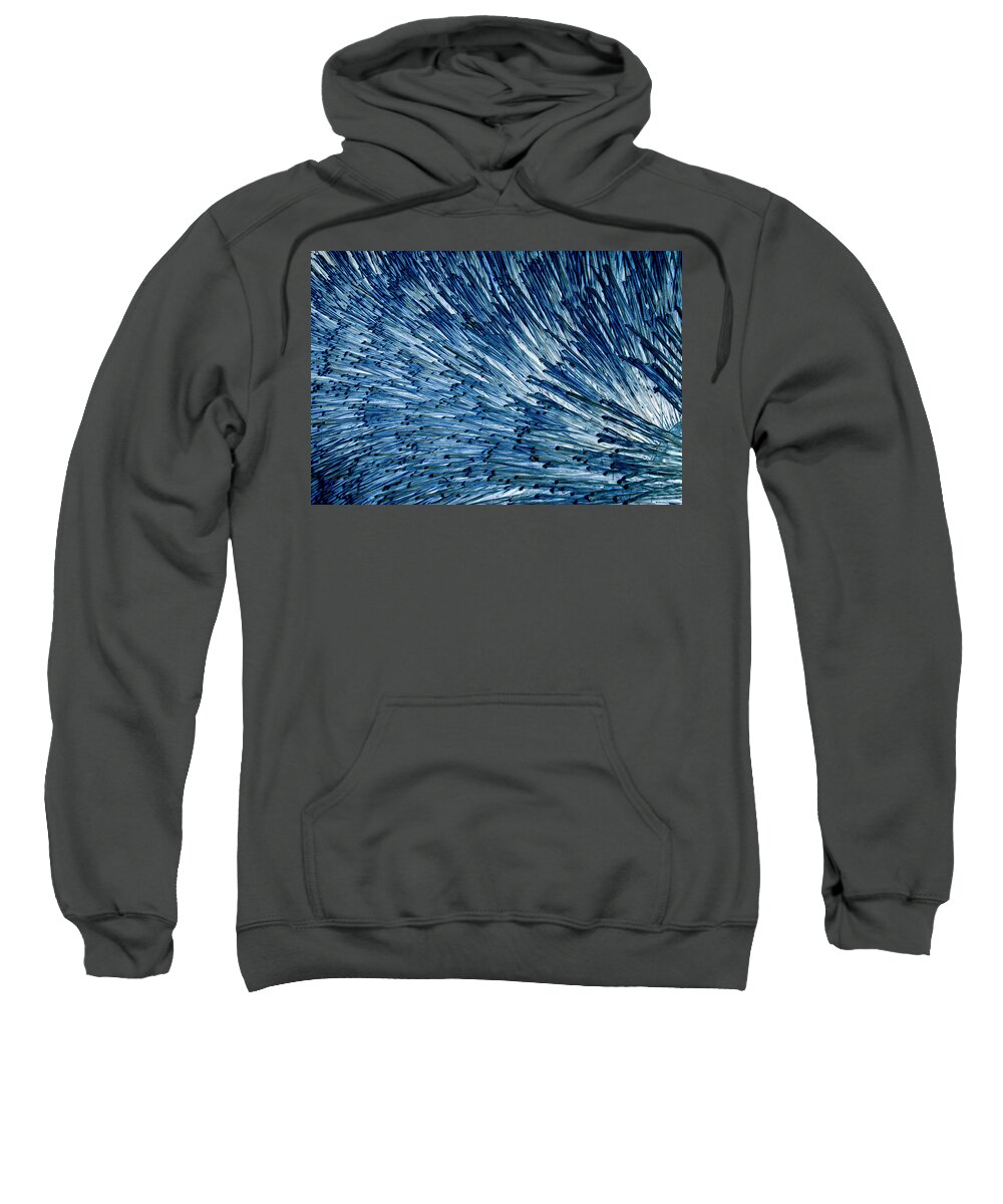 Bristles Sweatshirt featuring the photograph Bristly by Robert Woodward