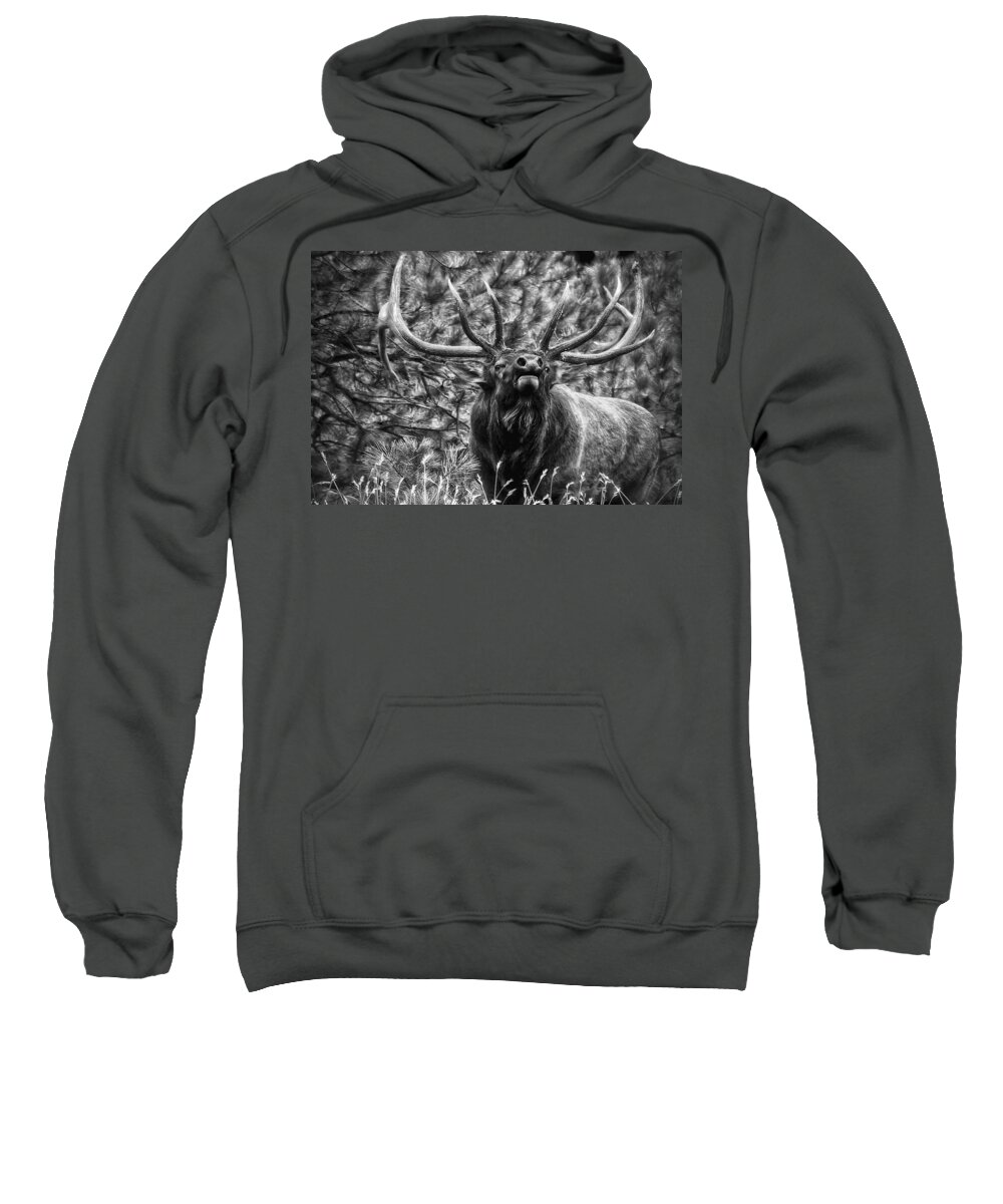 Elk Sweatshirt featuring the photograph Bull Elk Bugling Black and White by Ron White