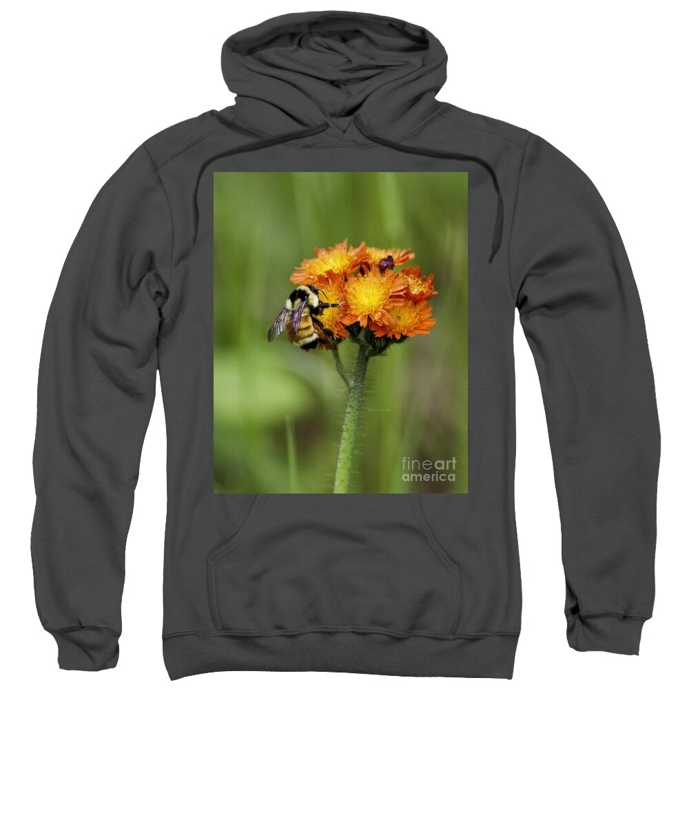 Bumblebee Sweatshirt featuring the photograph Bumble and Hawk by Jan Killian