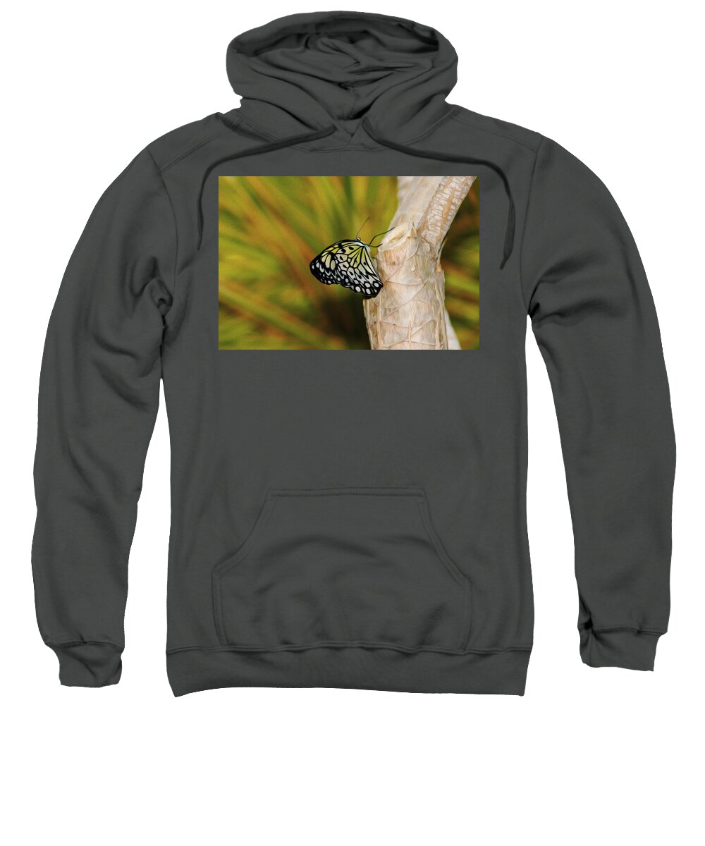 Butterfly Sweatshirt featuring the photograph Butterfly 3 by Tracy Winter