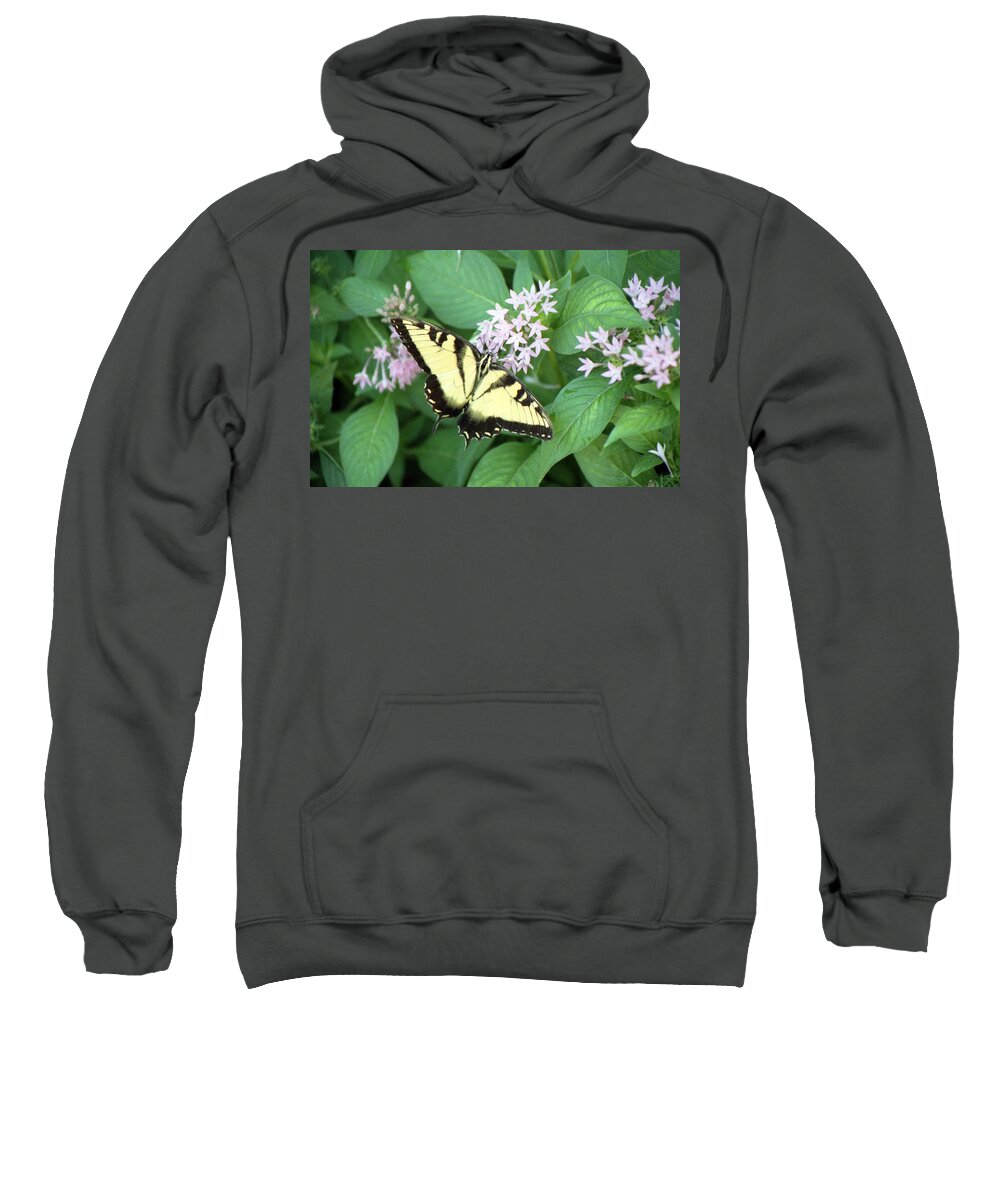 Butterfly Sweatshirt featuring the photograph Butterfly - Swallowtail by Pamela Critchlow