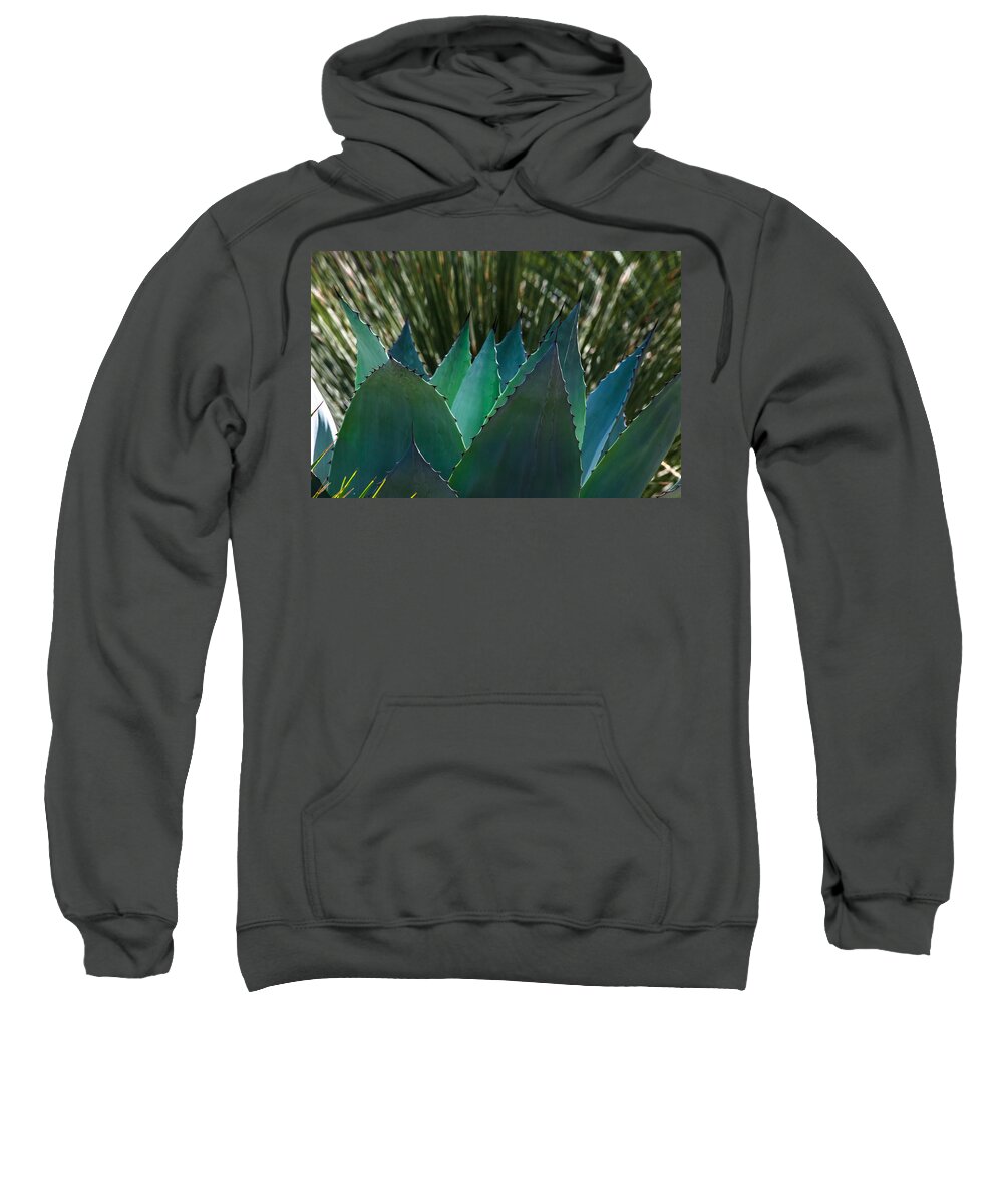 Agave Sweatshirt featuring the photograph Cactus and Grass by Ed Gleichman