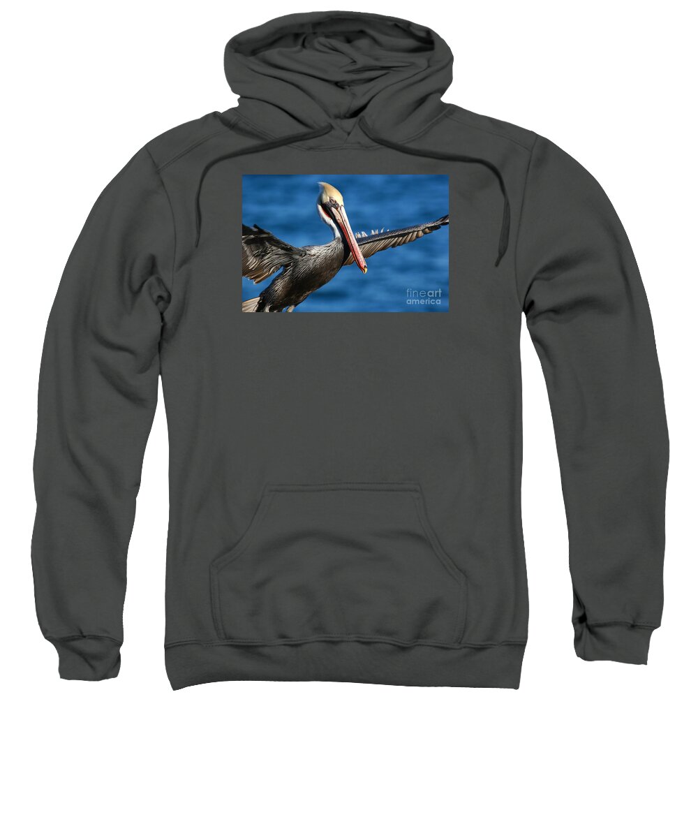 Landscapes Sweatshirt featuring the photograph Freedom In Blue by John F Tsumas