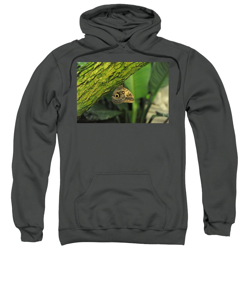 Wildlife Sweatshirt featuring the photograph Camouflage by Richard Gehlbach