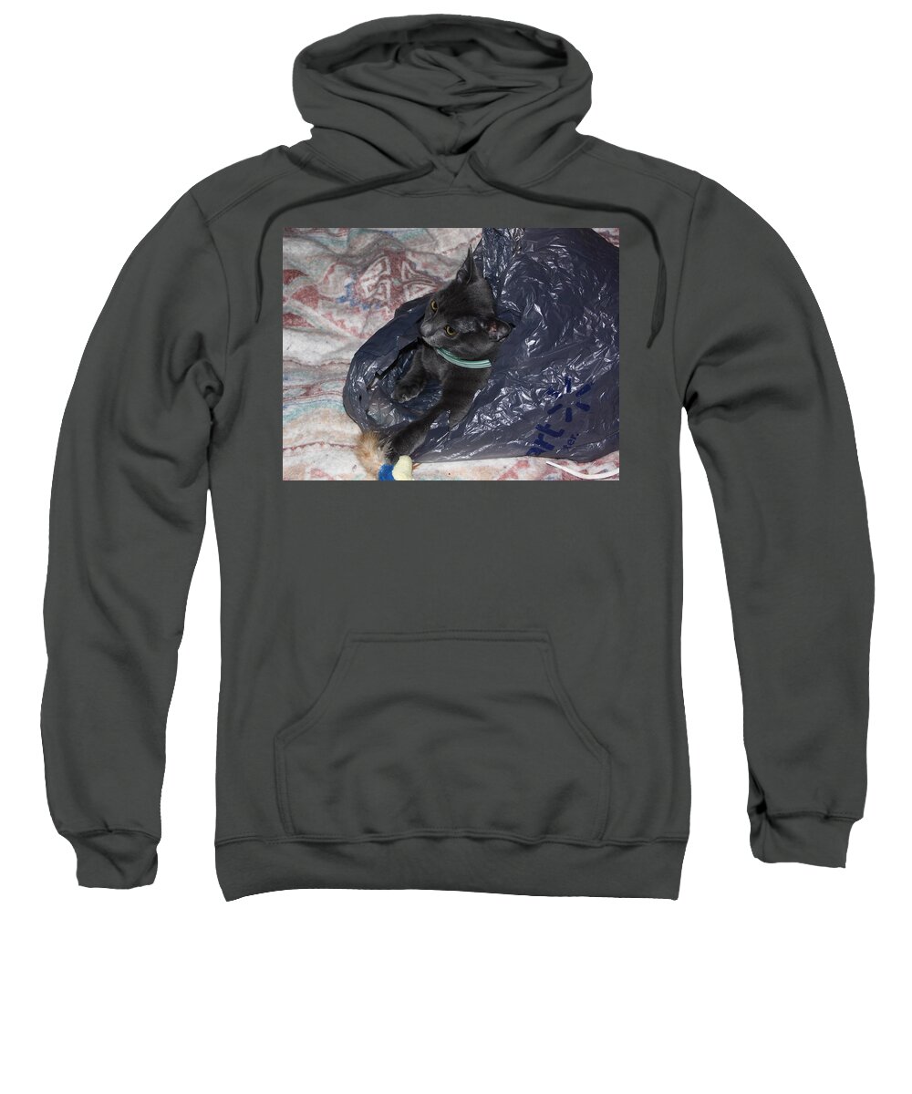 Cats Sweatshirt featuring the photograph Cat in a bag by Karl Rose