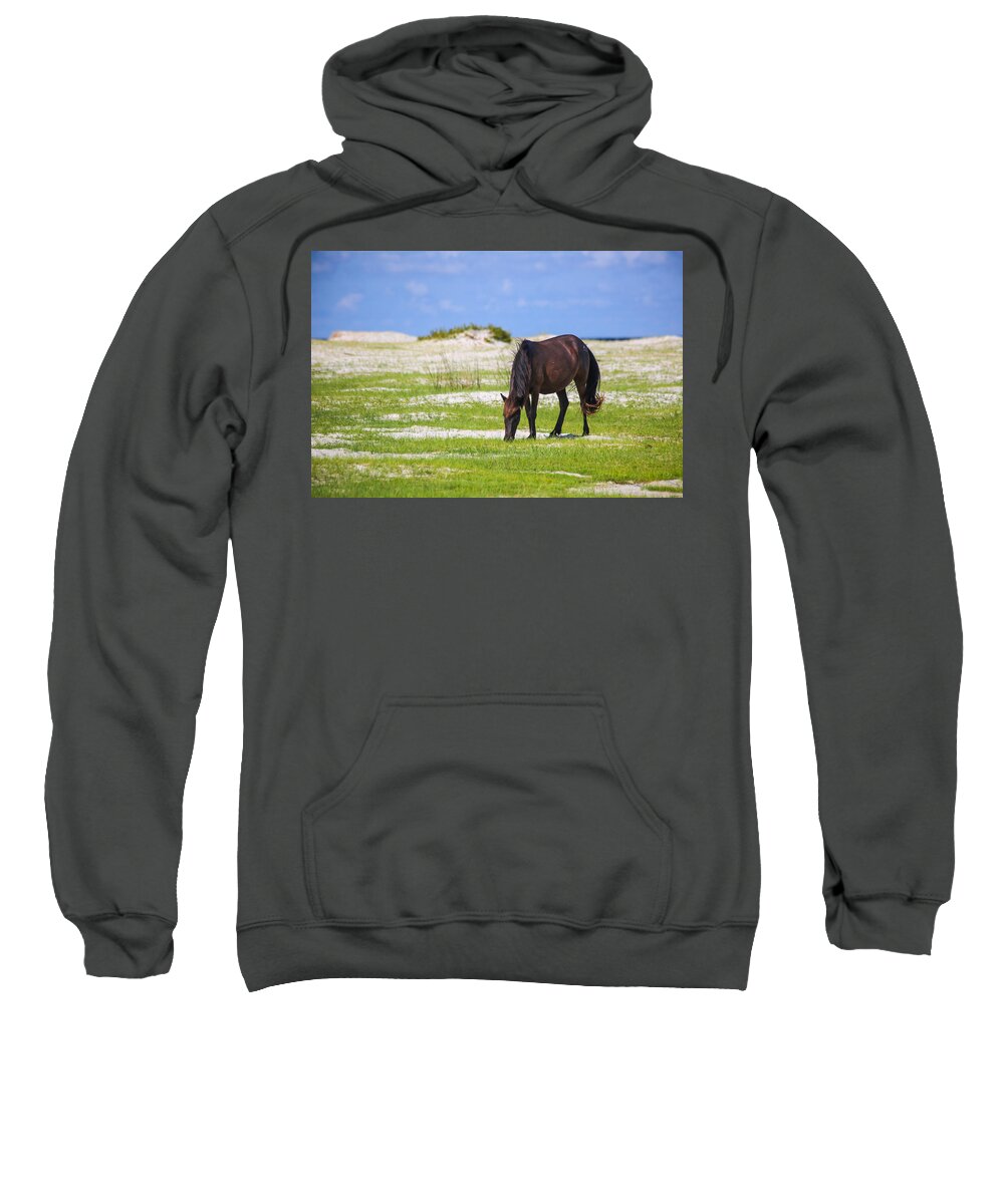 Wild Sweatshirt featuring the photograph Cedar Island Wild Mustang 3 by Paula OMalley