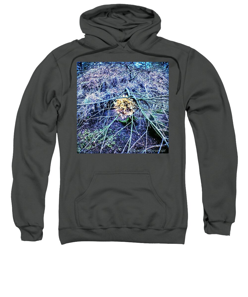 Chaotic Sweatshirt featuring the photograph Chaotically Enmeshed by Anna Porter