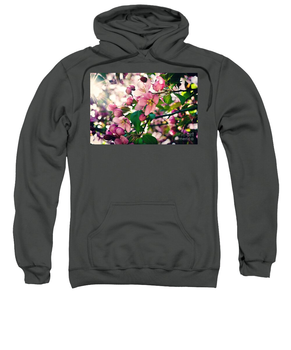 Cherry Blossom Sweatshirt featuring the photograph Cherry Blossom by Gwen Gibson