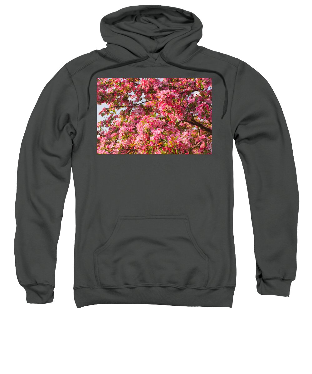 America Sweatshirt featuring the photograph Cherry Blossoms in Washington D.C. by Mitchell R Grosky