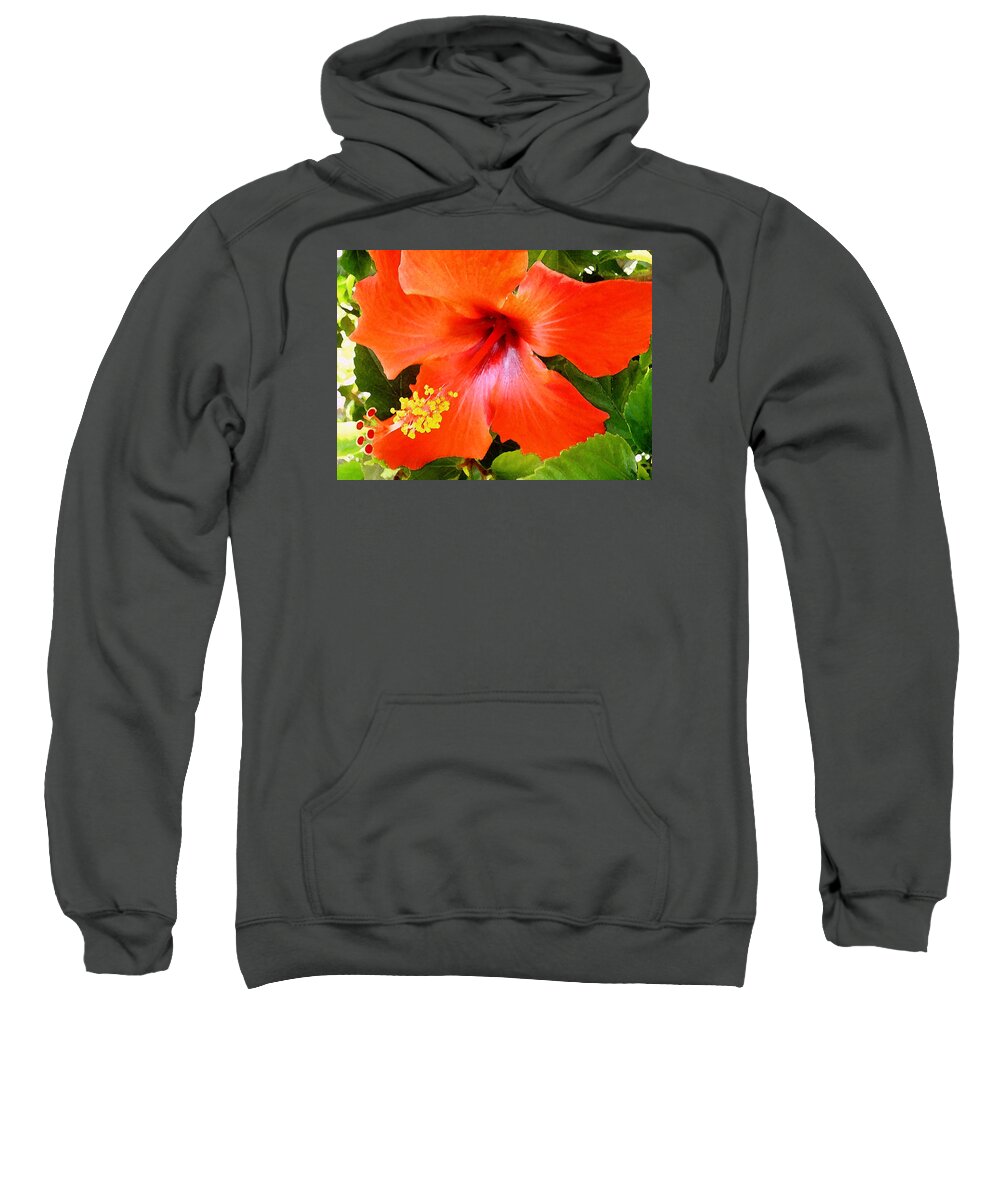 James Temple Sweatshirt featuring the photograph China Camp Hibiscus by James Temple