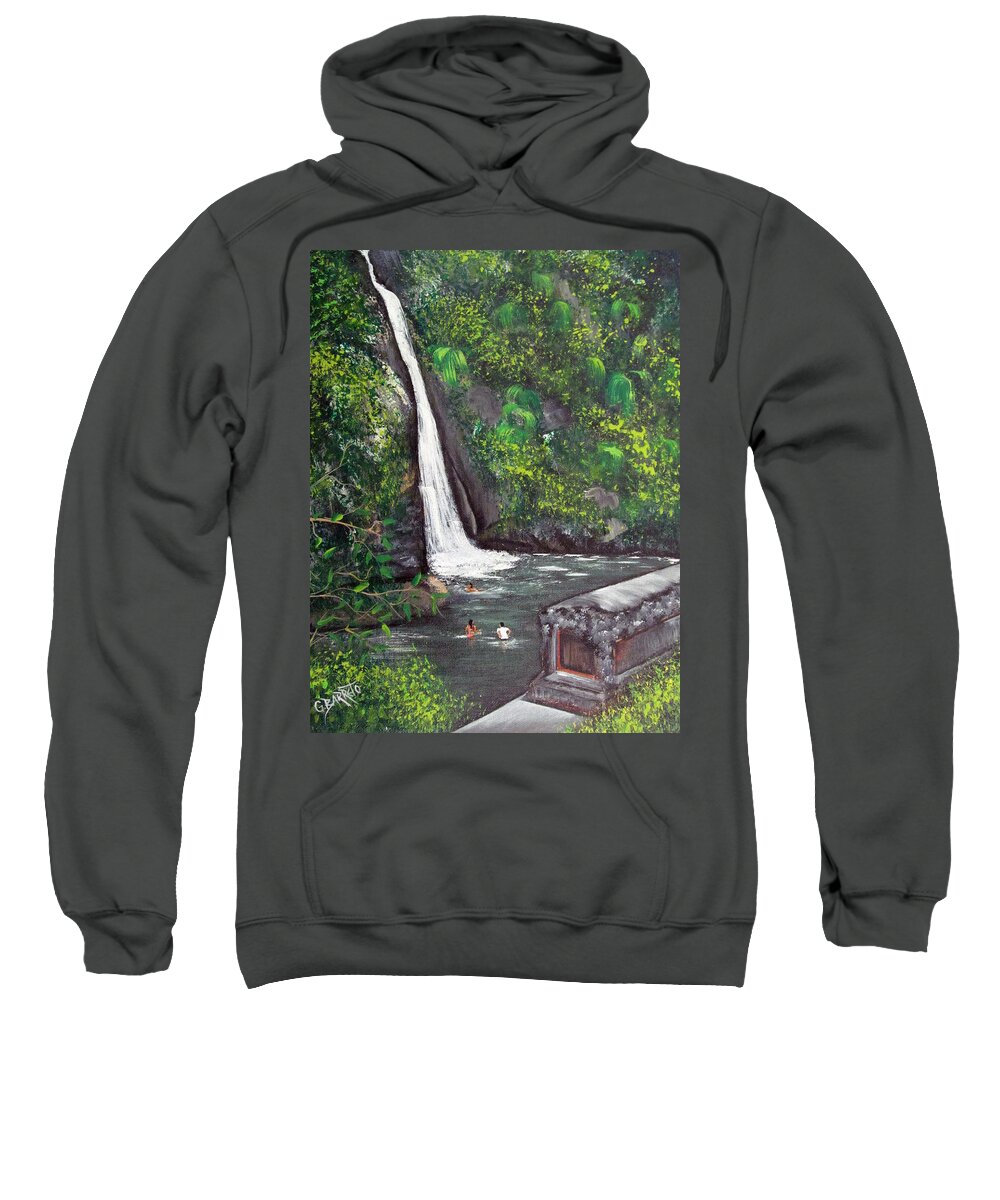 Waterfall Sweatshirt featuring the painting Chorro De Dona Juana by Gloria E Barreto-Rodriguez