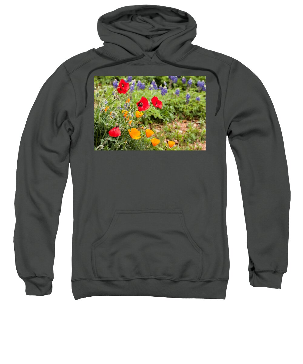 Bluebonnets Sweatshirt featuring the photograph Colors of Spring by Melinda Ledsome