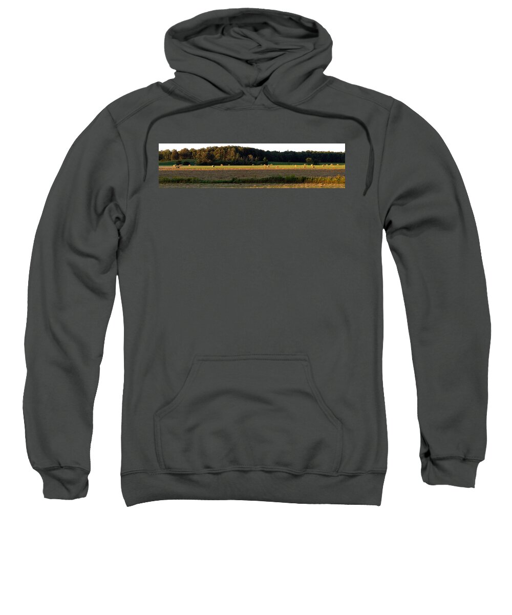 Panorama Sweatshirt featuring the photograph Country Bales by Doug Gibbons