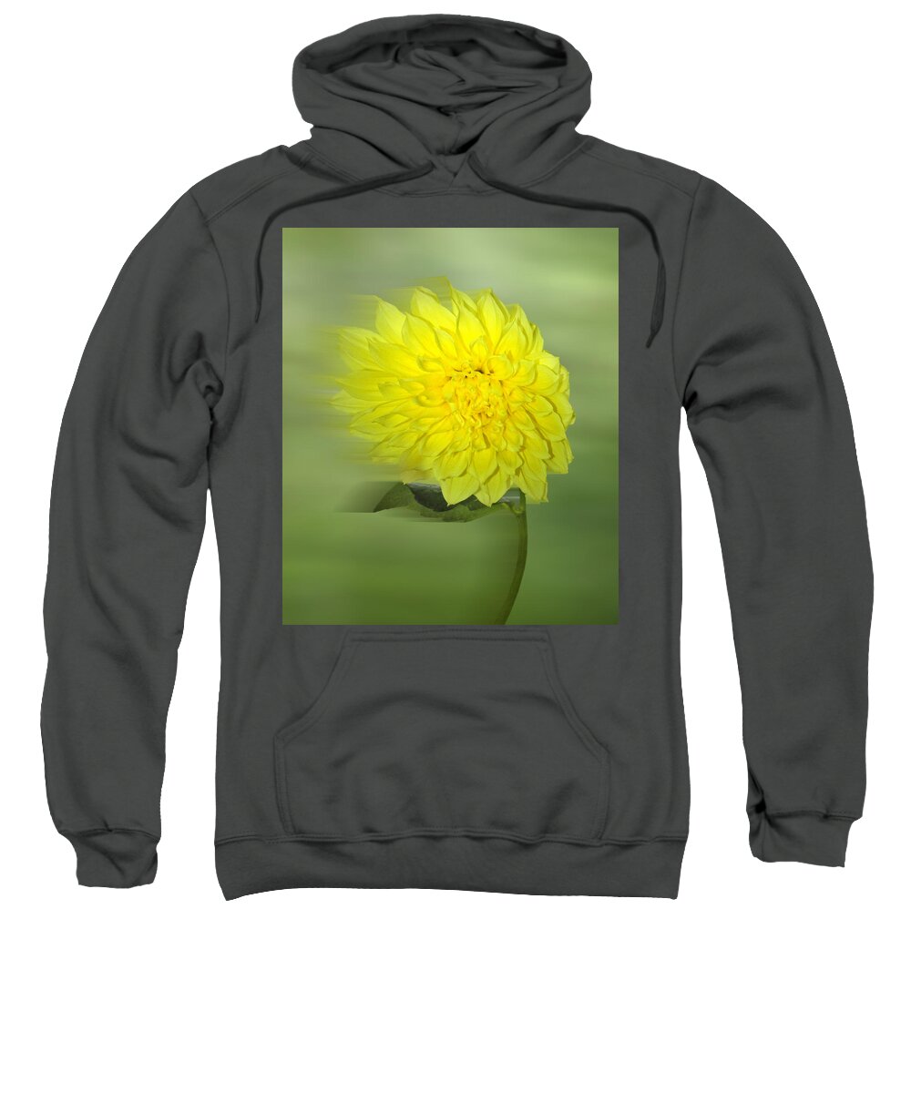 Dahlia Sweatshirt featuring the digital art Dahlia in the Wind by Nina Bradica