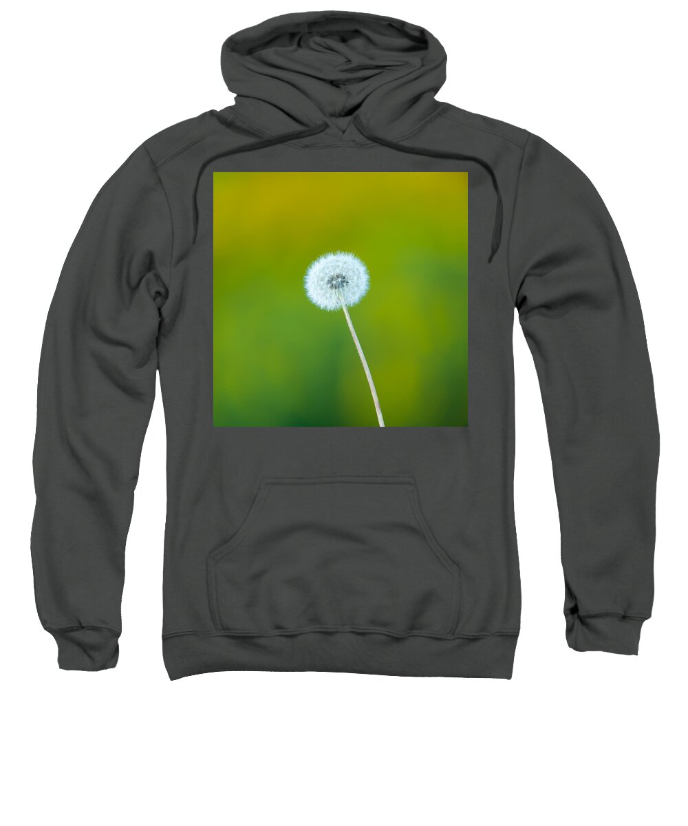 Fall Sweatshirt featuring the photograph Dandelion by Sebastian Musial