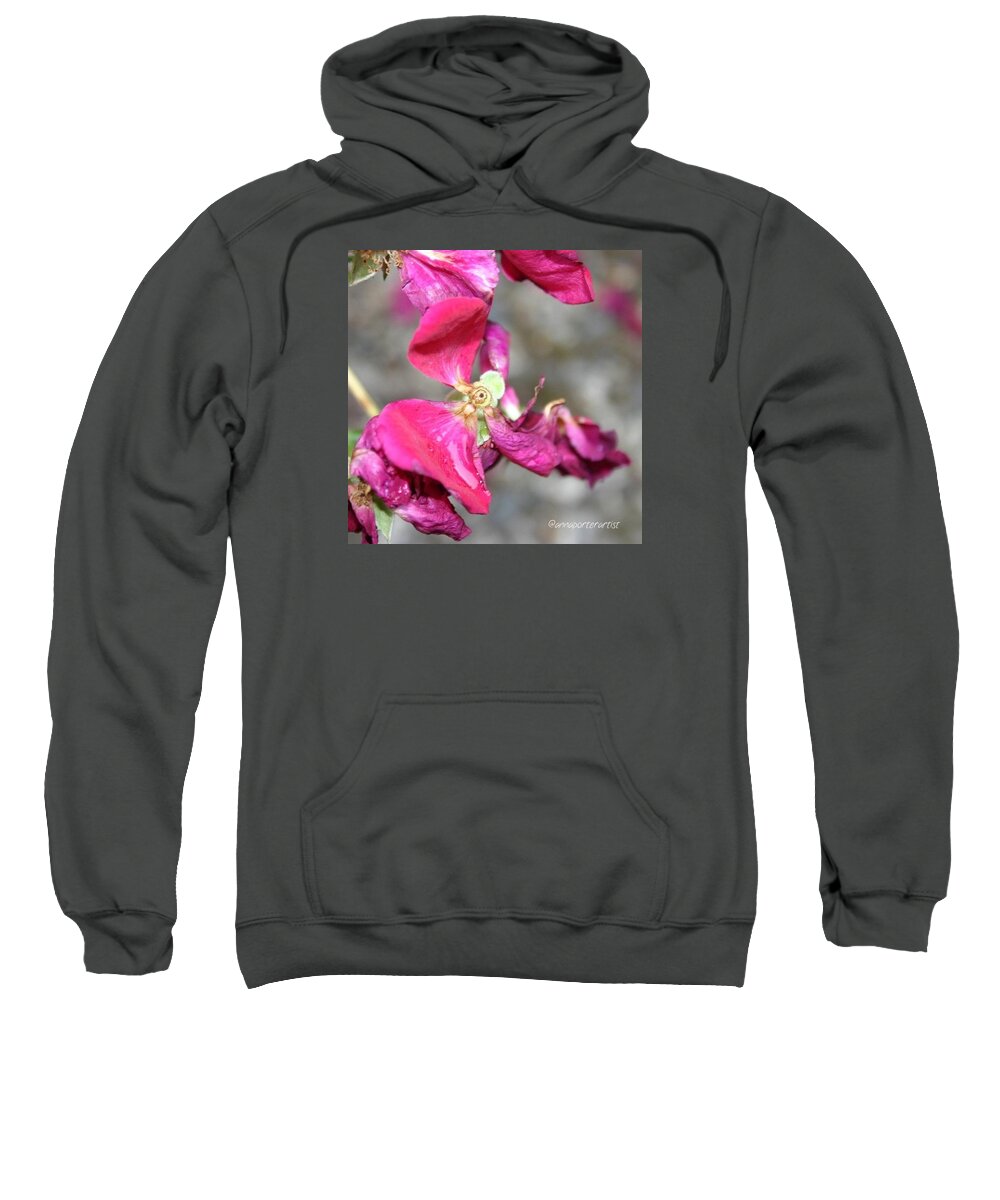 Death Of A Rose Sweatshirt featuring the photograph Death of a Rose by Anna Porter