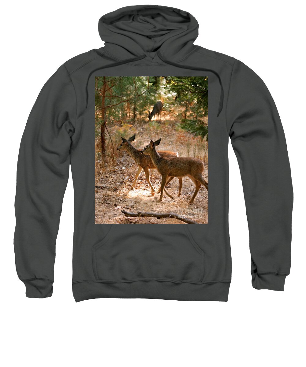 Deer Sweatshirt featuring the photograph Deer in the Forest by Lisa Billingsley