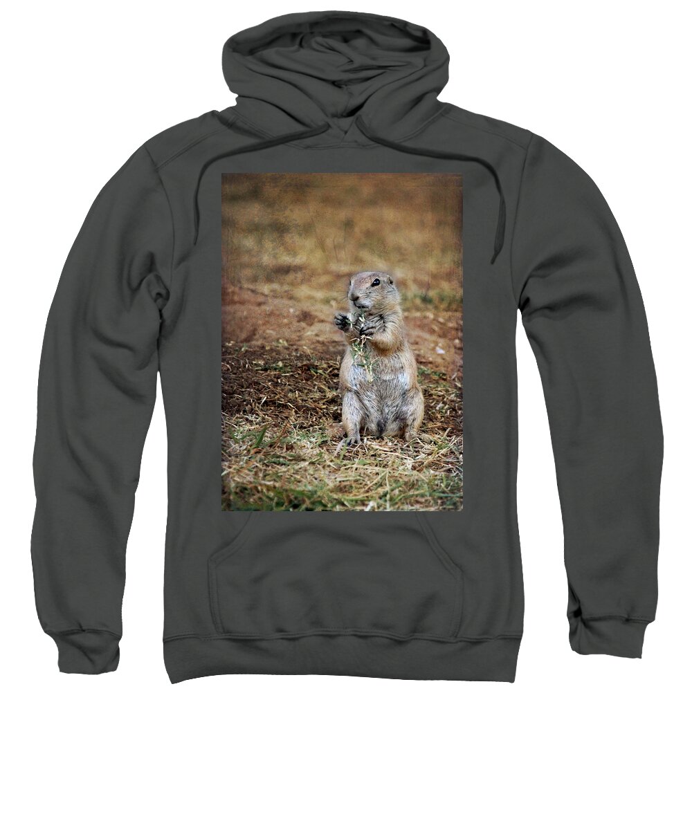 Doggie Snack Sweatshirt featuring the photograph Doggie Snack by Jemmy Archer