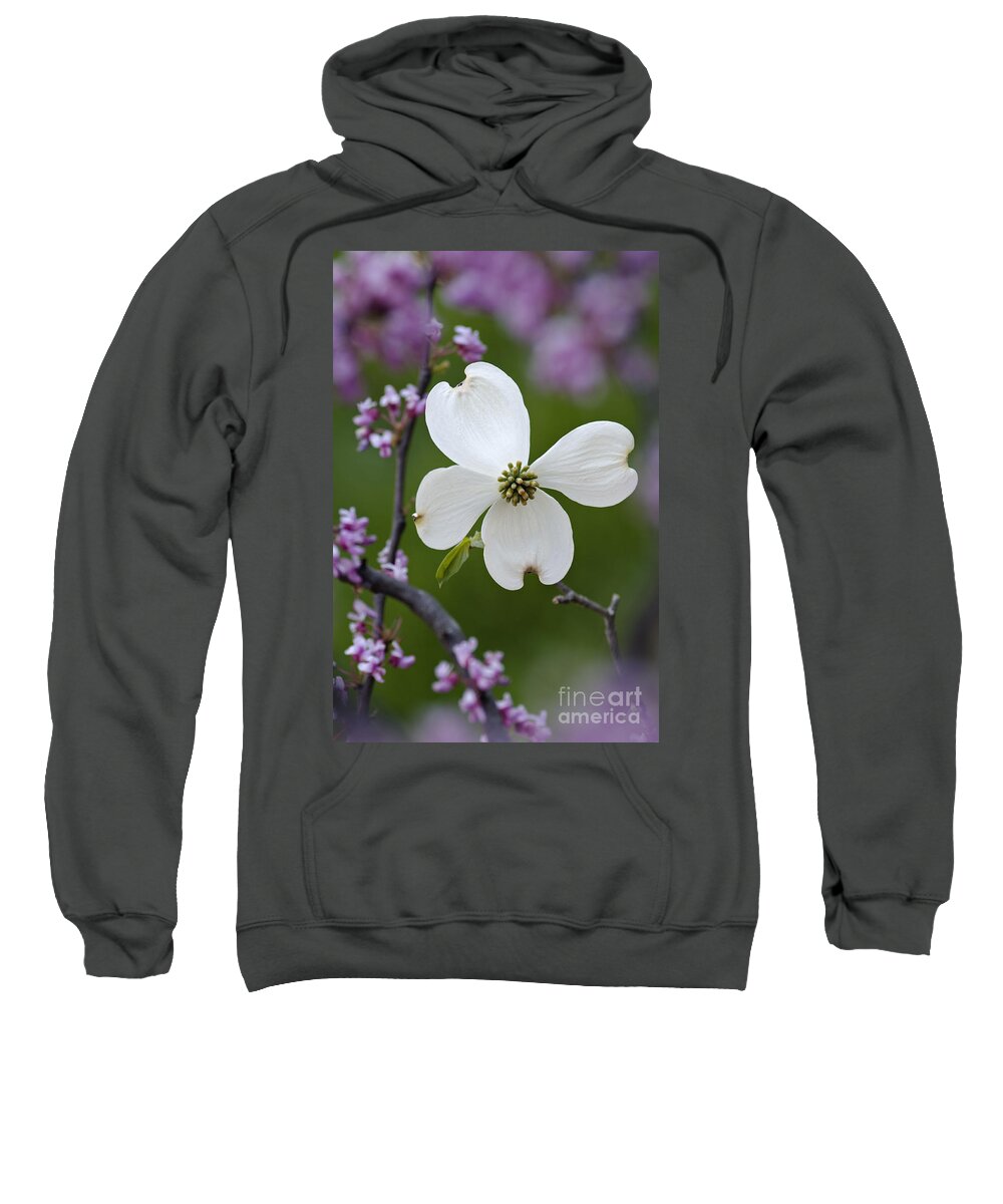 Dogwood Sweatshirt featuring the photograph Dogwood and Redbud - D008979 by Daniel Dempster