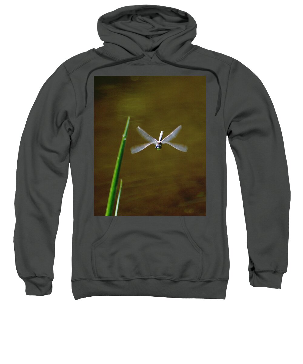 Dragonflies Sweatshirt featuring the photograph Dragonflight by Ben Upham III