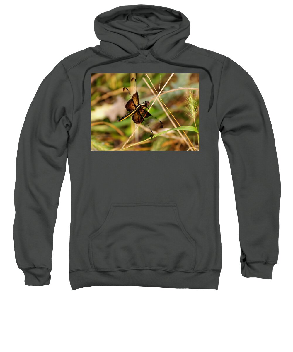 Dragonfly Sweatshirt featuring the photograph Dragonfly by John Johnson