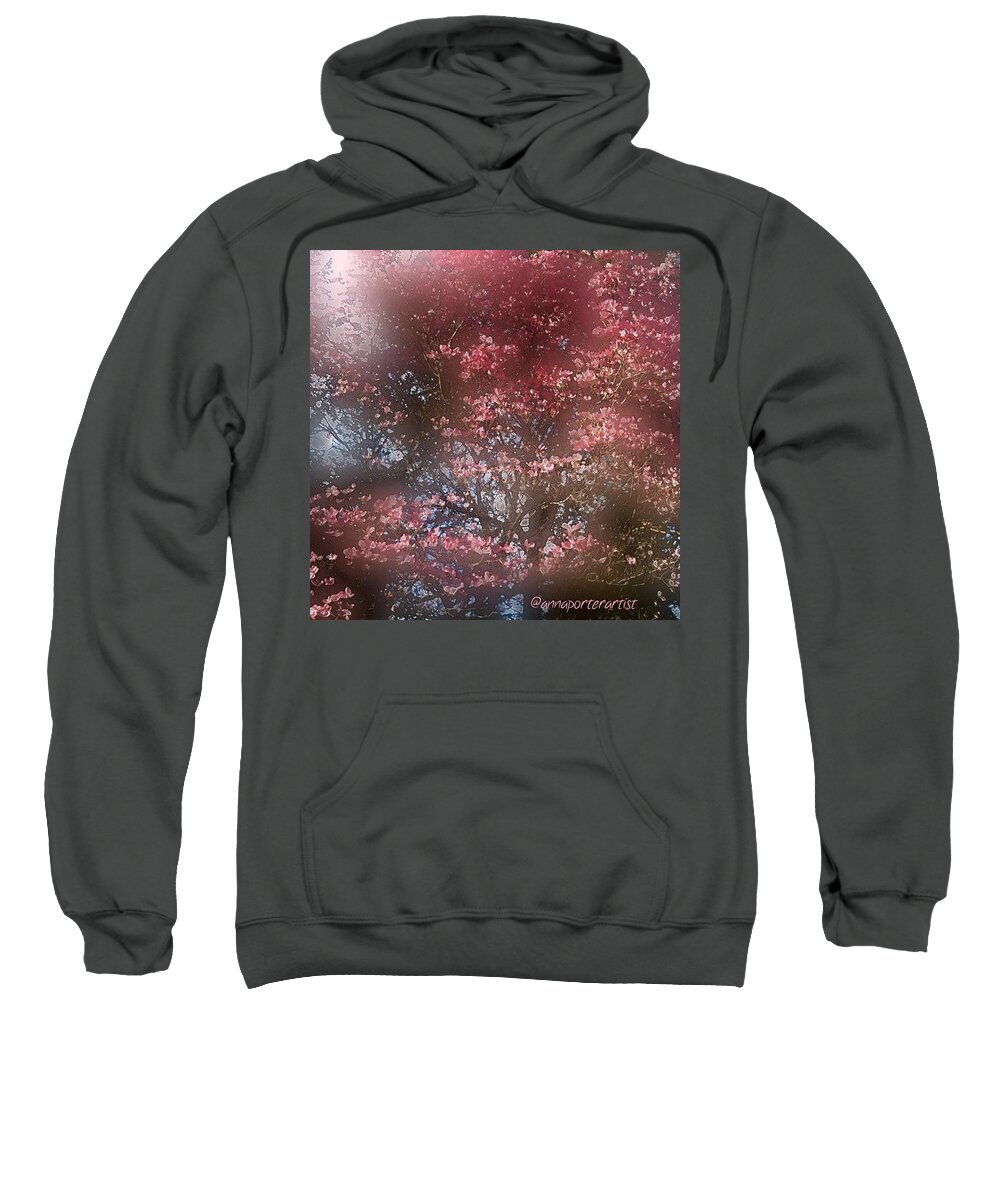 Trees Sweatshirt featuring the photograph Dreamy Dogwood by Anna Porter