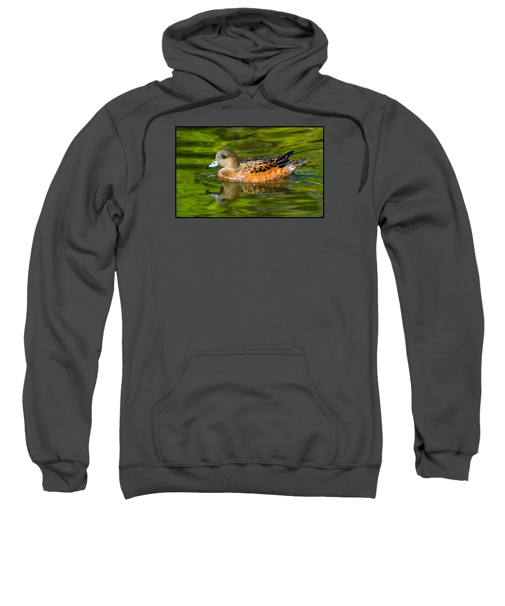 Duck Sweatshirt featuring the photograph Young Female Mallard Duck by Ginger Wakem
