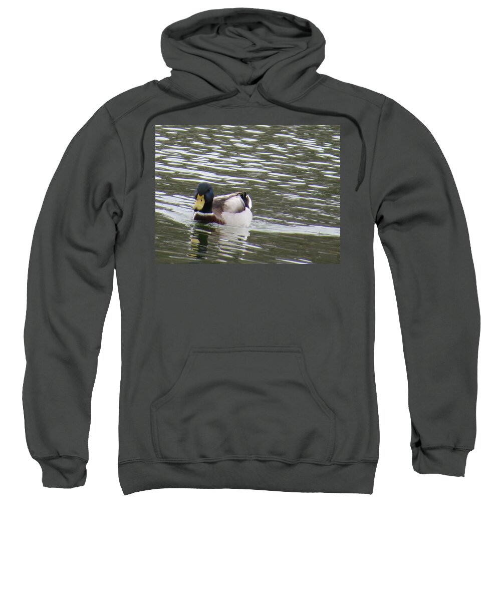 Wildlife. Duck Sweatshirt featuring the photograph Duck out for a swim by Aaron Martens