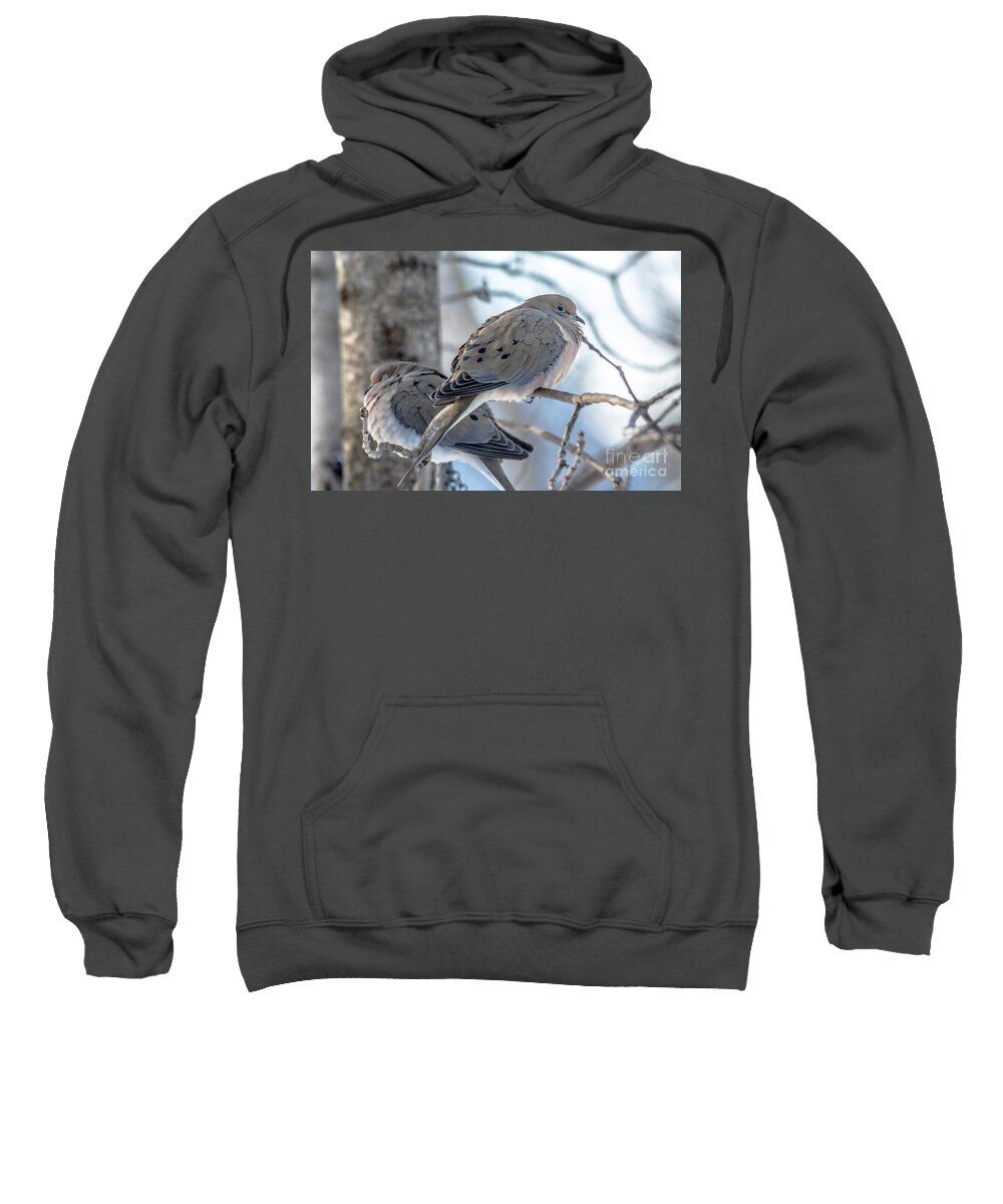 Birds Sweatshirt featuring the photograph Early Mourning by Cheryl Baxter
