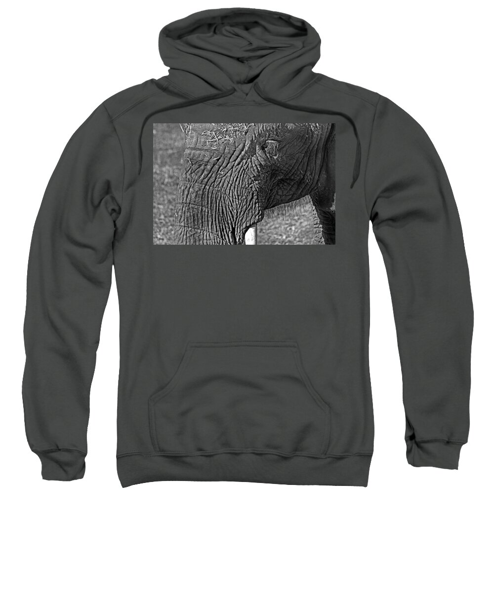 African Elephant Sweatshirt featuring the photograph Elephant.. dont cry by Miroslava Jurcik