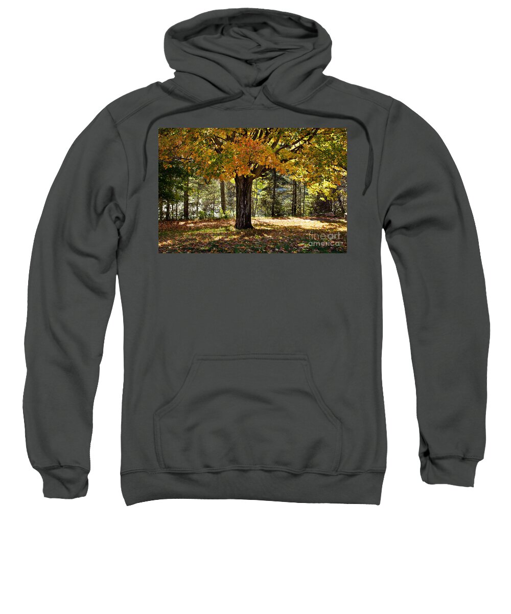 Fall Foliage Sweatshirt featuring the photograph Fall Beauty by Gwen Gibson