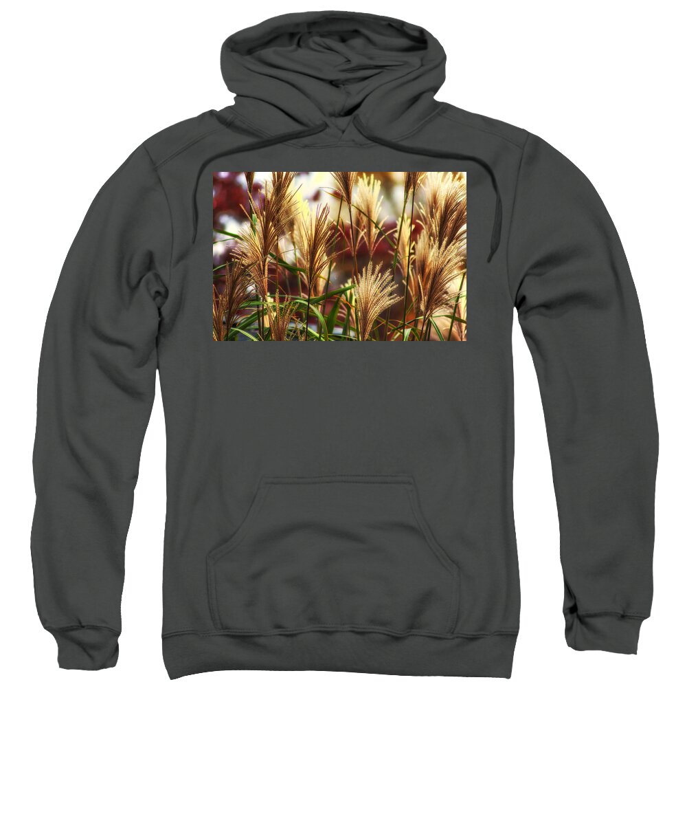 Plants Sweatshirt featuring the photograph Fall Fire. by Rob Dietrich