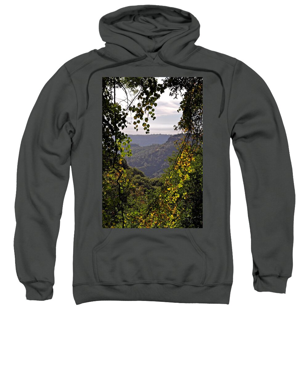Landscape Sweatshirt featuring the photograph Fall Frames the Canyon by Michele Myers