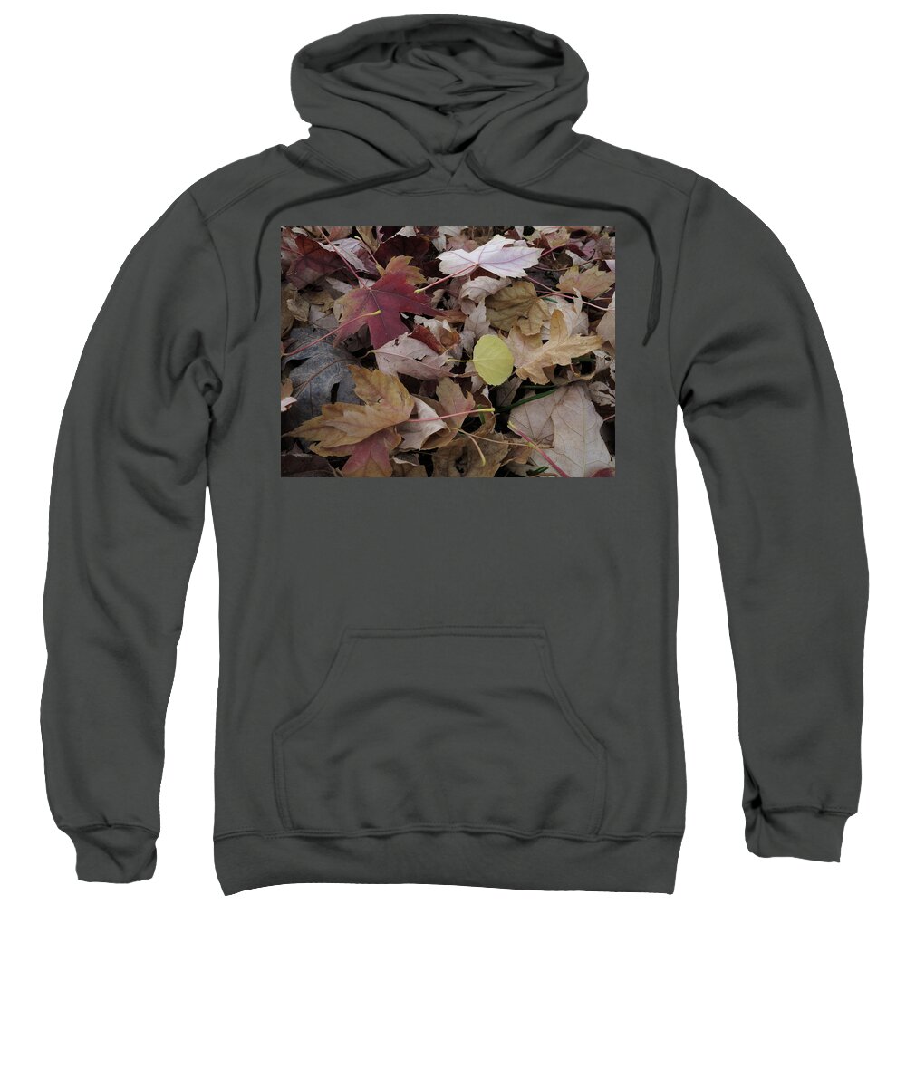 Autumn Sweatshirt featuring the photograph Fallen Beauty by Jessica Myscofski