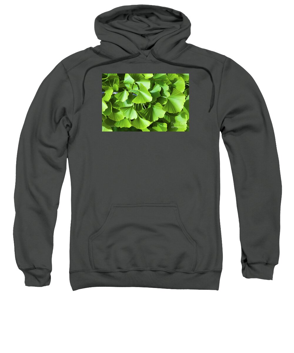 Green Sweatshirt featuring the photograph Fan Shaped Leaves by Richard J Thompson