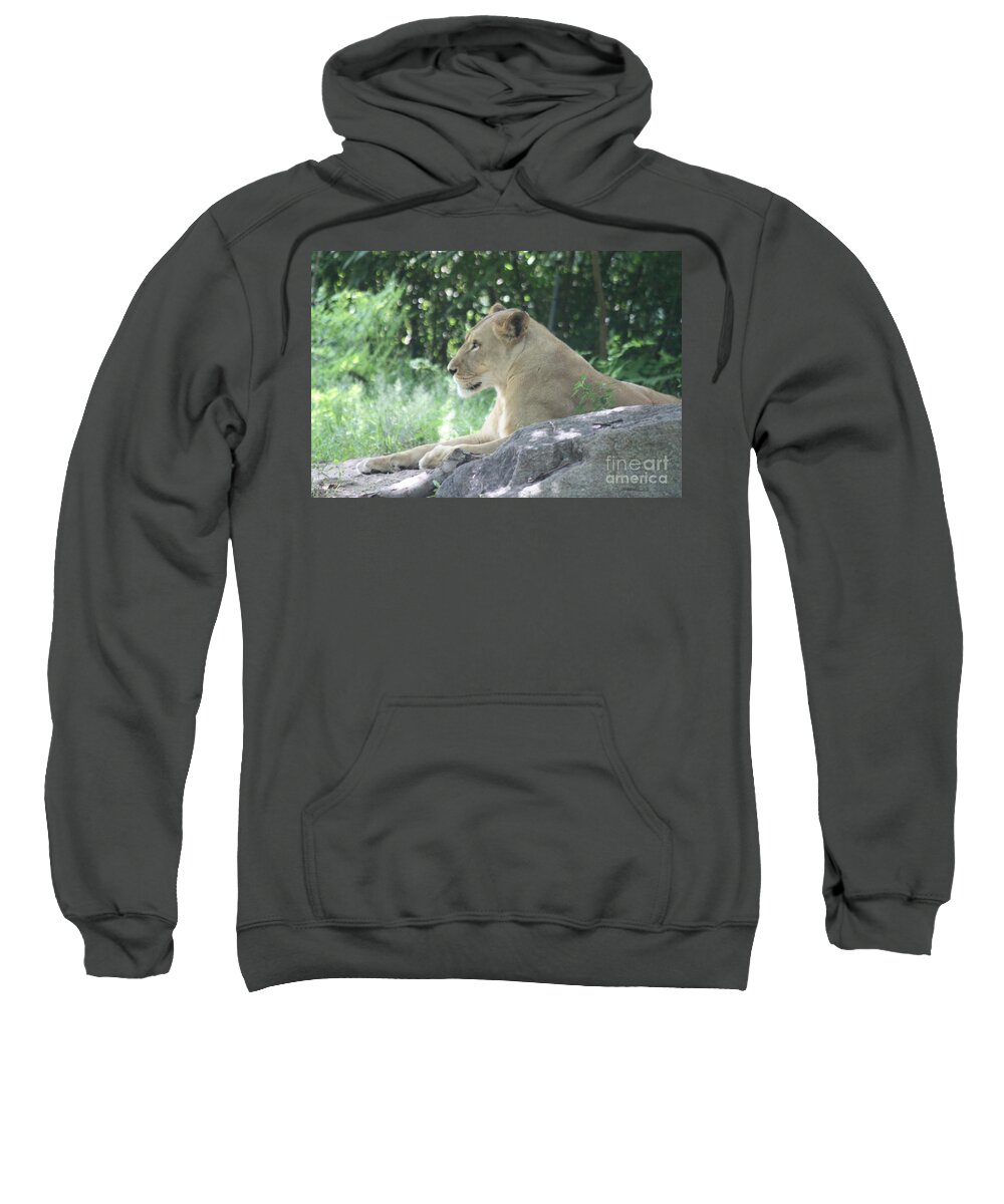 Female Lion On Guard Sweatshirt featuring the photograph Female Lion on Guard by John Telfer