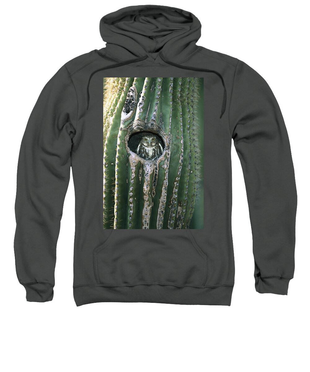 Feb0514 Sweatshirt featuring the photograph Ferruginous Pygmy Owl In Saguaro Arizona by Tom Vezo