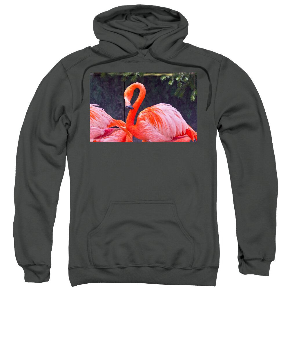 National Sweatshirt featuring the photograph Flamingo in the Wild by Jonny D