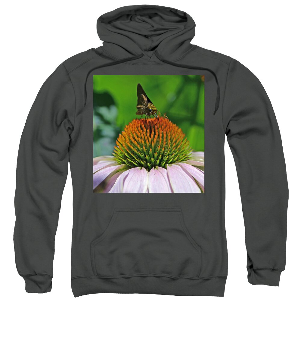 Butterfly Sweatshirt featuring the photograph Flower feeding by Richard Bryce and Family