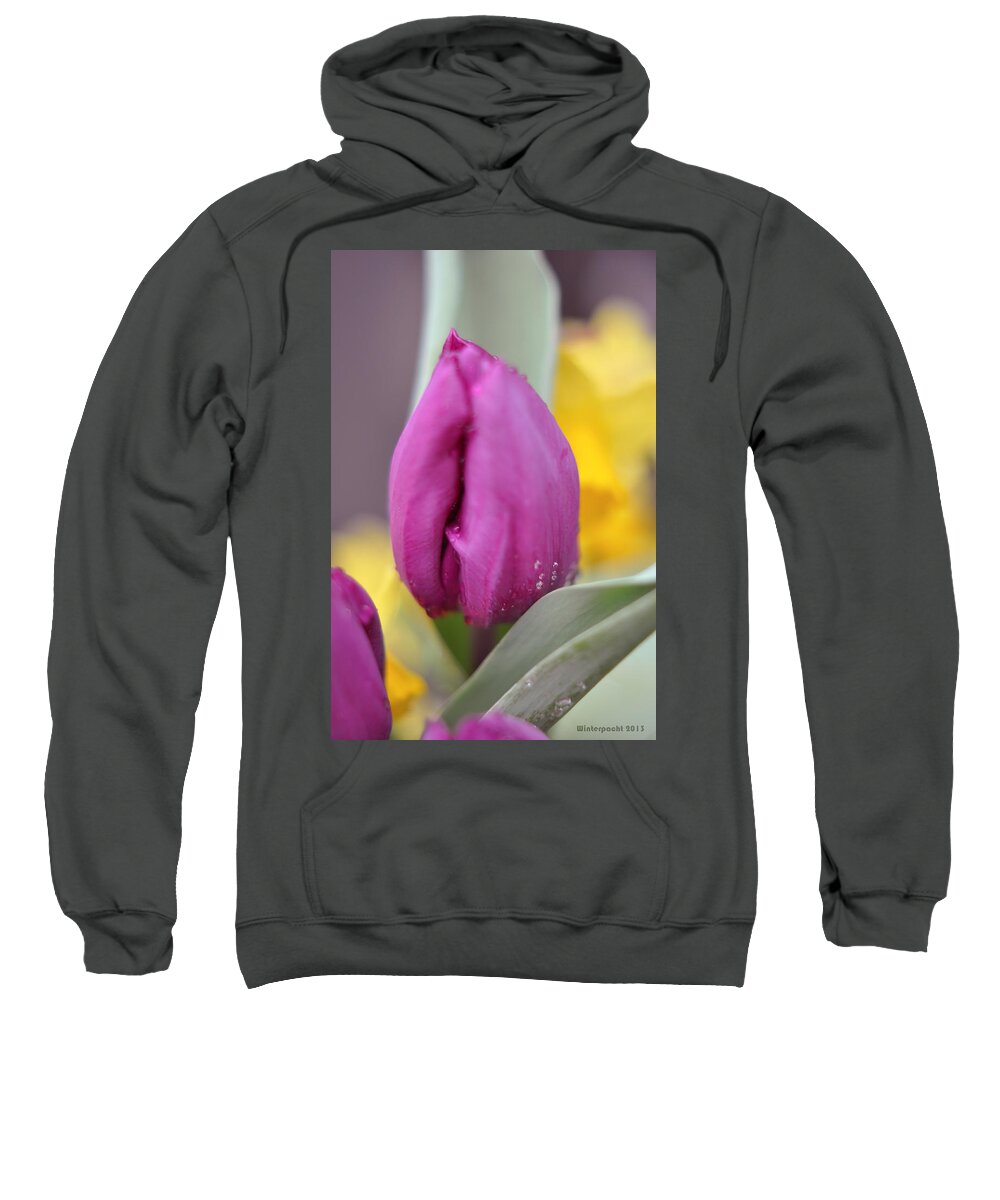 Tulips Sweatshirt featuring the photograph Flower in the Spring by Miguel Winterpacht