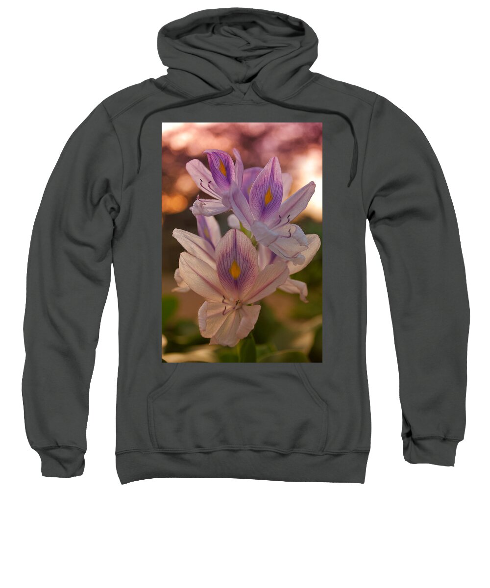 Winterpacht Sweatshirt featuring the photograph Flowers in Indonesia by Miguel Winterpacht