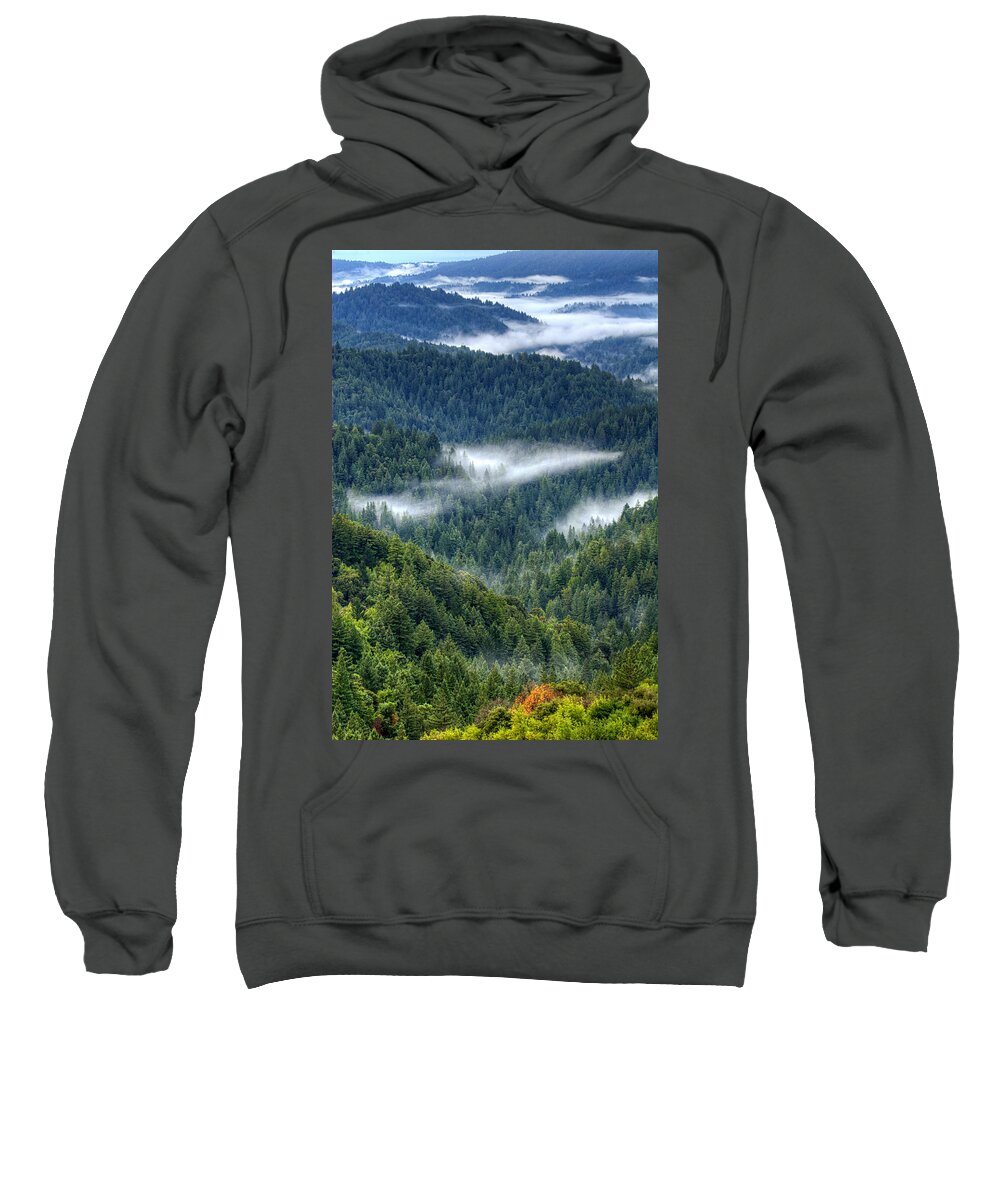 Santa Cruz Mountains Sweatshirt featuring the photograph Fog in the Santa Cruz Mountains by Lisa Chorny