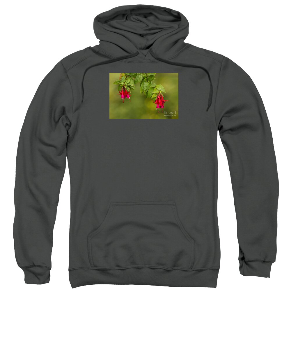 Colorful Sweatshirt featuring the photograph Fuchsia by Alice Cahill