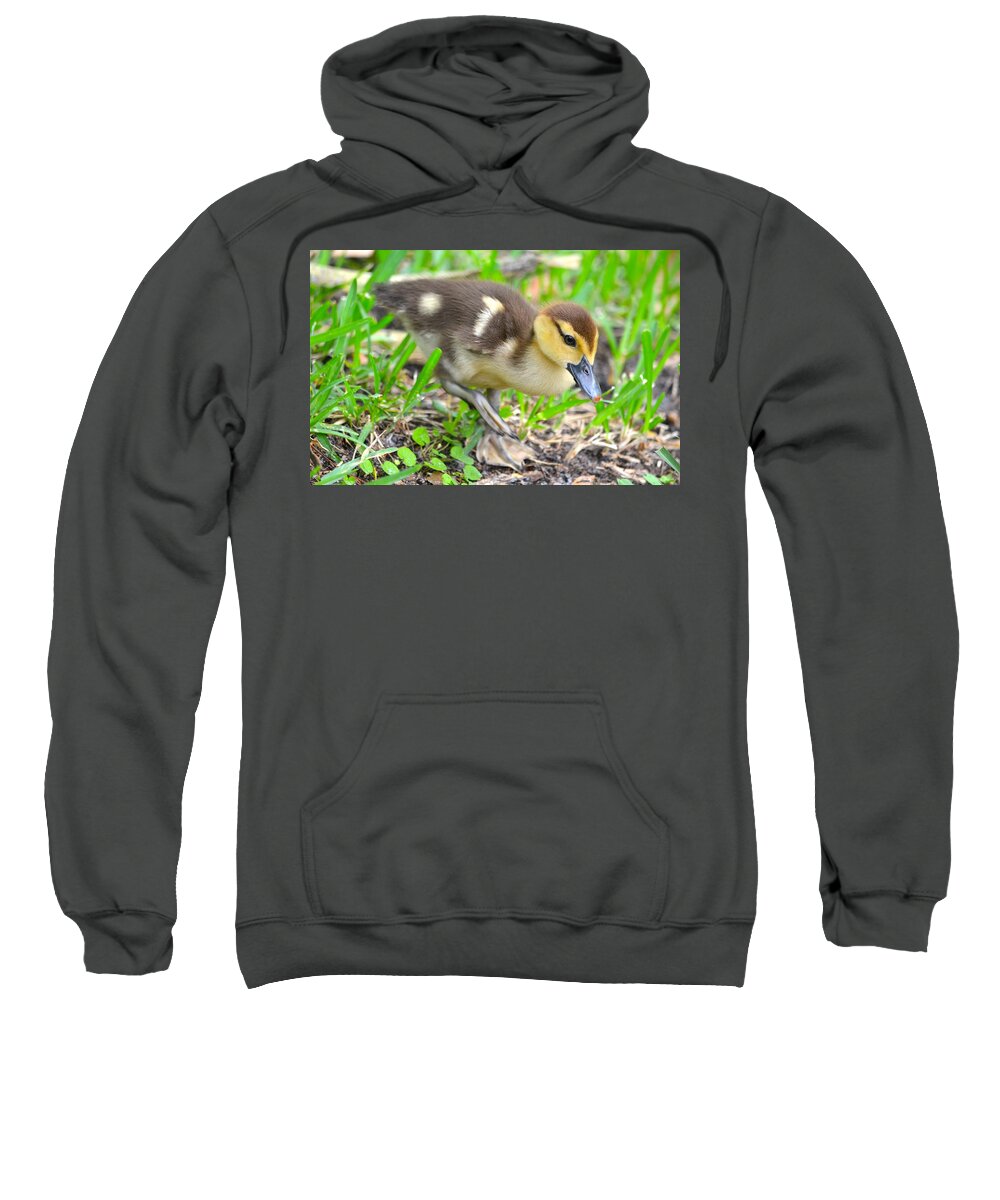 Fuzzy Sweatshirt featuring the photograph Fuzzy Little Duckling by Richard Bryce and Family