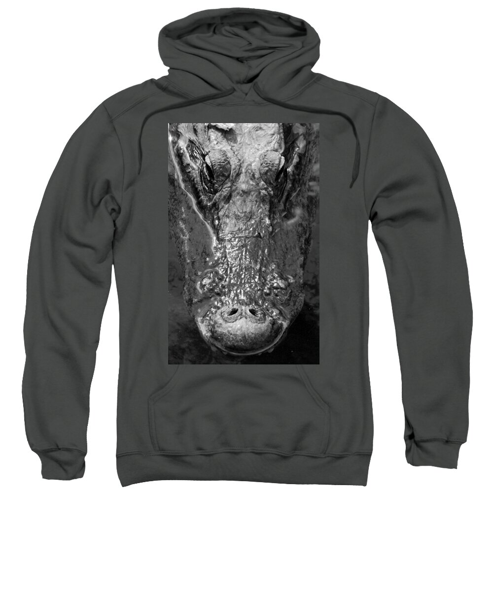 Black And White Sweatshirt featuring the photograph Gator Head by Joey Waves